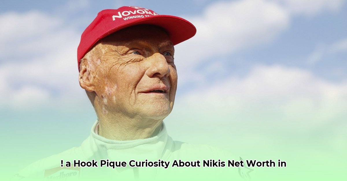 niki-net-worth